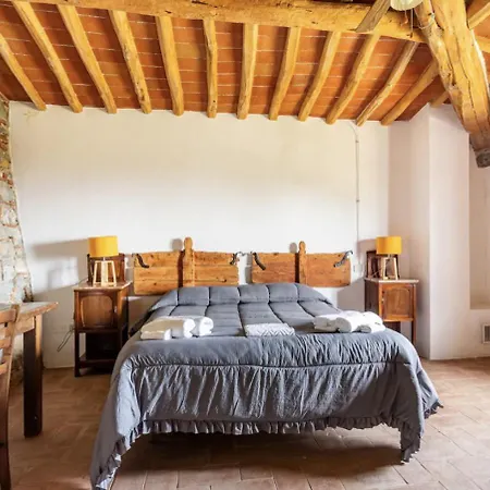 The House , Tuscany And The Pool Holiday home *