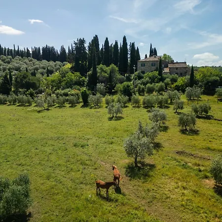 The House , Tuscany And The Pool *